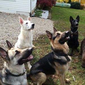 Meet your Posher, Jill